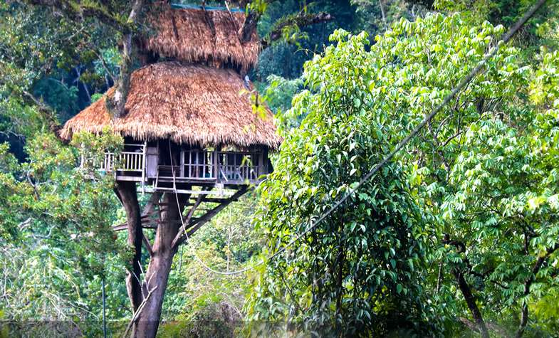 Explore Bokeo Nature Reserve