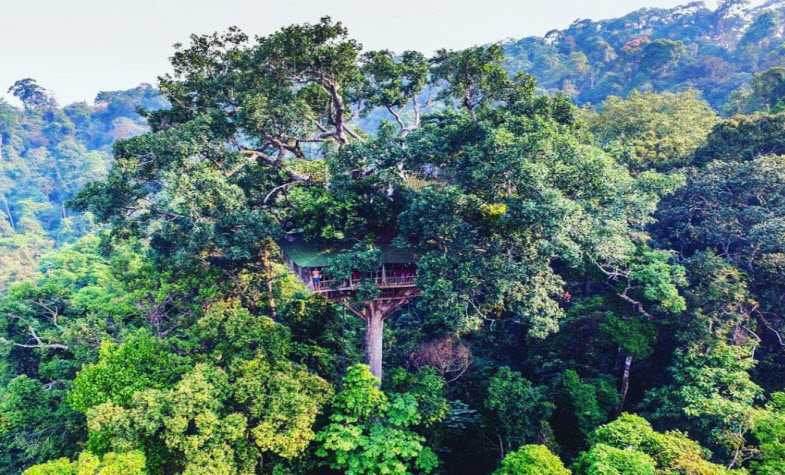 Things to see in Laos - Bokeo Nature Reserve