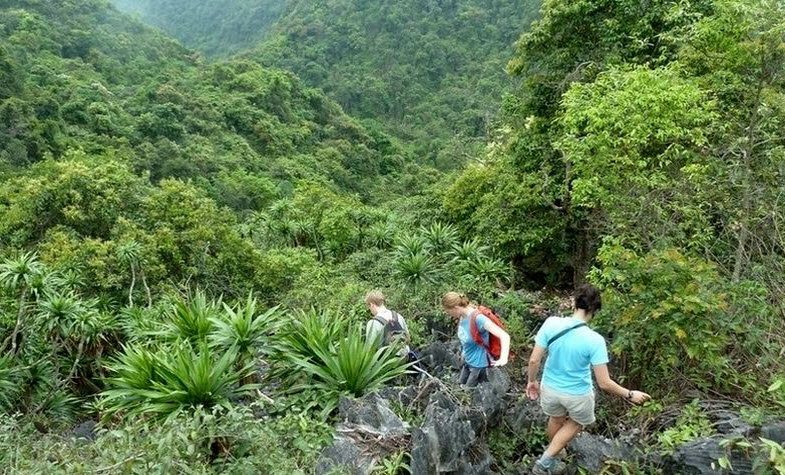 Trekking Cat Ba National Park in Hai Phong, Vietnam