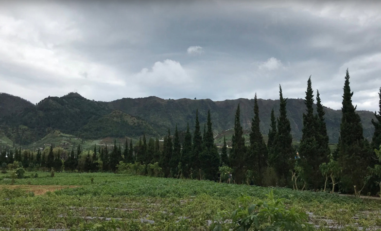 Essential Experiences to Enjoy at Dieng Plateau