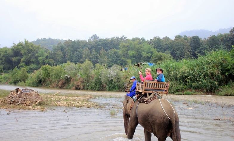 elephant riding is now not recommended