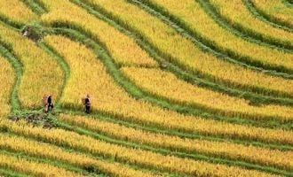 Best highlights of North Vietnam