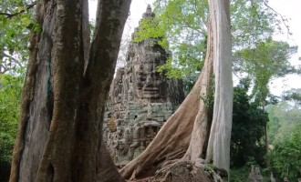cycling siam reap