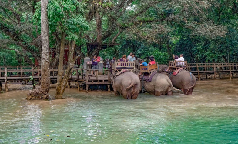 Tad Sae waterfall Luang Prabang