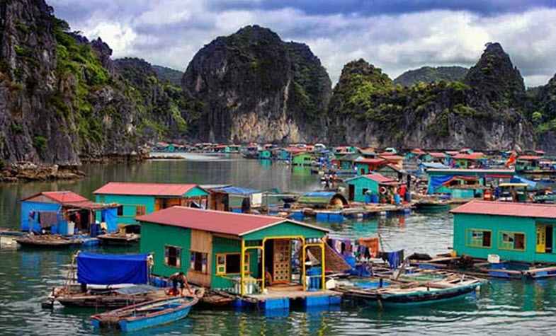 Halong Bay floating villages - Vung Vieng Floating Village